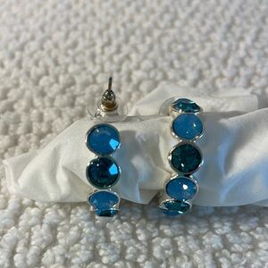 Napier Jeweled Hooped Earrings in a stunning light & cobalt blue on silver.